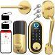 Fingerprint Front Door Lock Handle Set Keyless Entry Digital Smart Deadbolt Gold