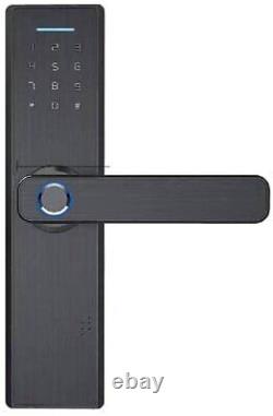 Serrure de porte à empreinte digitale Serrure de porte intelligente Bluetooth avec capacité d'entrée sans clé